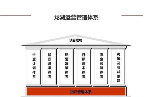 龍湖企業(yè)管理與運(yùn)營精細(xì)化管理策略探析
