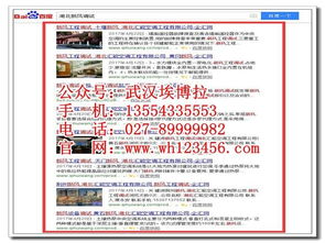武漢網絡技術推廣 專業公司如何助力企業實現長效維護與增長